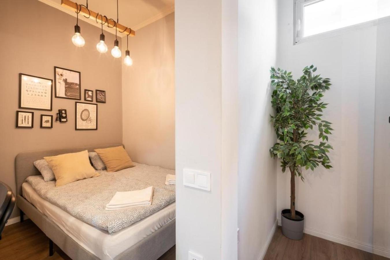 Boutique 1 Apartament *